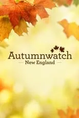 Portada de Autumnwatch New England