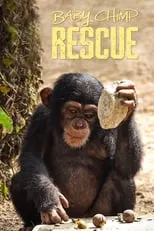 Portada de Baby Chimp Rescue