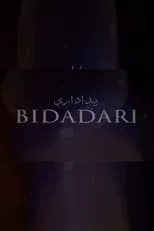 Portada de Bidadari