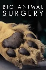 Portada de Big Animal Surgery