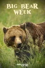 Portada de Big Bear Week