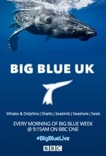 Portada de Big Blue UK