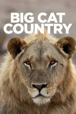 Portada de Big Cat Country