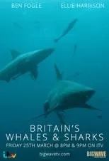 Portada de Britain's Whales and Sharks