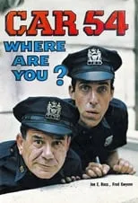 Car 54, Where Are You? portada