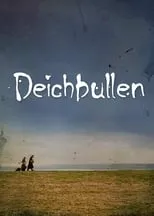 Portada de Deichbullen