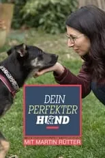 Portada de Dein perfekter Hund