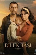 Portada de Dilek Taşı