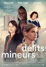 Portada de Délits mineurs