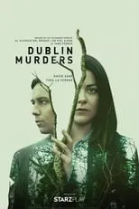 Portada de Dublin Murders