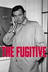 John McGiver en la serie - El fugitivo