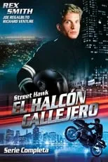 Poster de la película El halcón callejero - Películas hoy en TV