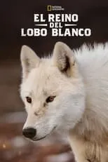 Portada de El Reino de el Lobo Blanco