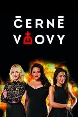 Portada de Černé vdovy