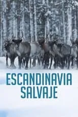 Portada de Escandinavia salvaje