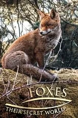 Portada de Foxes: Their Secret World