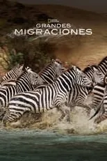 Portada de Grandes Migraciones