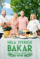 Portada de Hela Sverige bakar