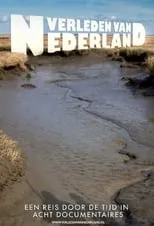 Portada de Het verleden van Nederland