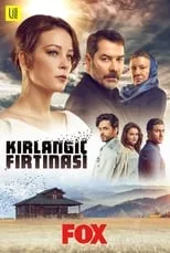 Portada de Kırlangıç Fırtınası