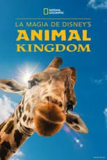 Portada de La Magia de Animal Kingdom de Disney