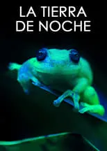 Portada de La Tierra de noche