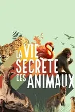 Portada de La vie secrète des animaux