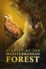 Portada de Las historias del bosque mediterráneo