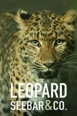 Temporada 3 de Leopard, Seebär & Co.