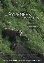 Les Pyrénées secrètes portada