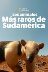 Portada de Los Animales Más Raros de Sudamérica