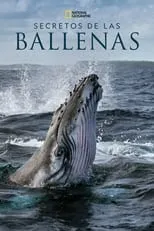 Portada de Los Secretos de las ballenas