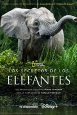 Portada de Los secretos de los elefantes