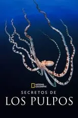 Portada de Los secretos de los pulpos