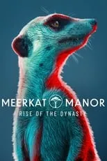 Portada de Meerkat Manor: Rise of the Dynasty