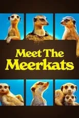 Portada de Meet The Meerkats