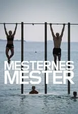 Portada de Mesternes mester