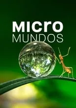 Portada de Micromundos