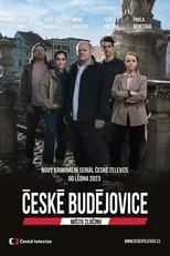 Portada de Místo zločinu České Budějovice