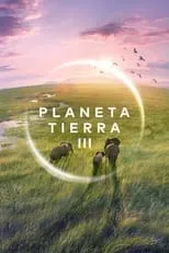 Poster de Planeta Tierra III