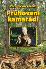 Portada de Pruhovaní kamarádi