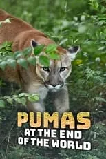 Portada de Pumas At The End of The World