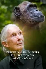 Portada de Rescued Chimpanzees of the Congo with Jane Goodall