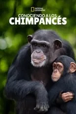 Portada de Santuario de chimpancés