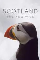 Portada de Scotland: The New Wild