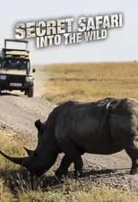 Portada de Secret Safari: Into the Wild