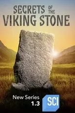 Portada de Secrets of the Viking Stone