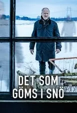 Skjult av snø portada