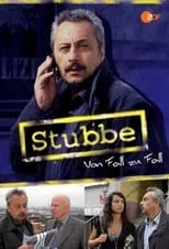 Portada de Stubbe – Von Fall zu Fall