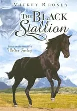 Portada de The Adventures of the Black Stallion